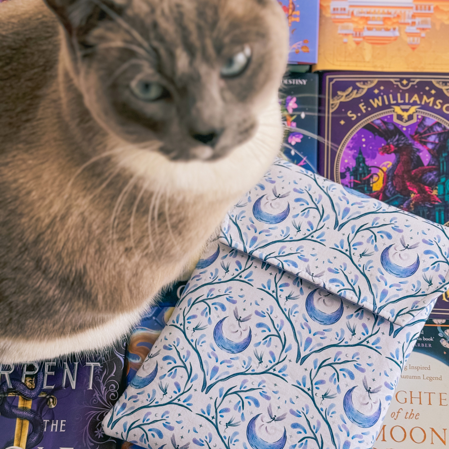 Charlie and Fox - Fairytale padded book sleeve: Large